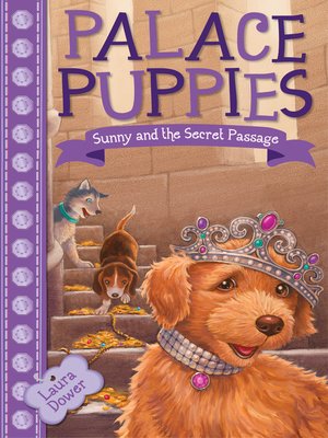 cover image of Sunny and the Secret Passage